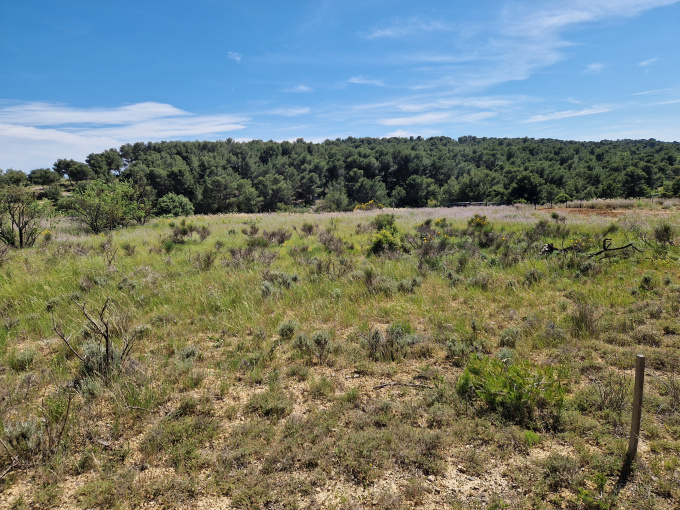 Offres de vente Terrain agricole Nissan-lez-Enserune (34440)